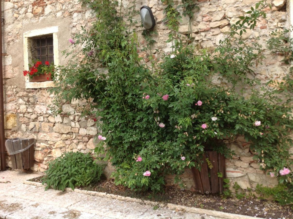 Agriturismo Ca' Verde SantʼAmbrogio di Valpolicella Exterior foto