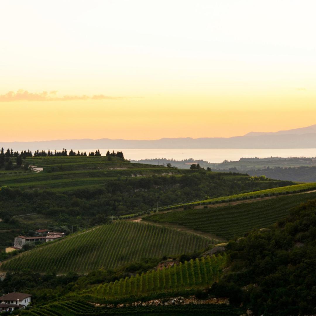 Agriturismo Ca' Verde SantʼAmbrogio di Valpolicella Exterior foto